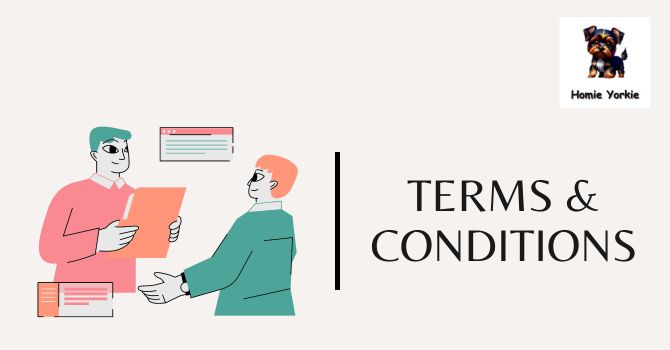 Terms and Conditions