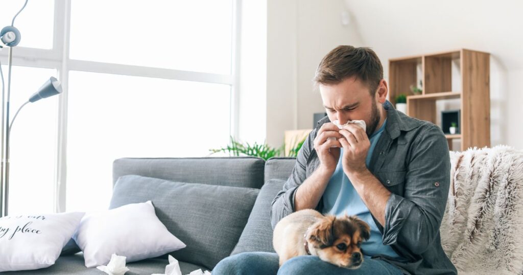 a man sneezing out of dog allergy