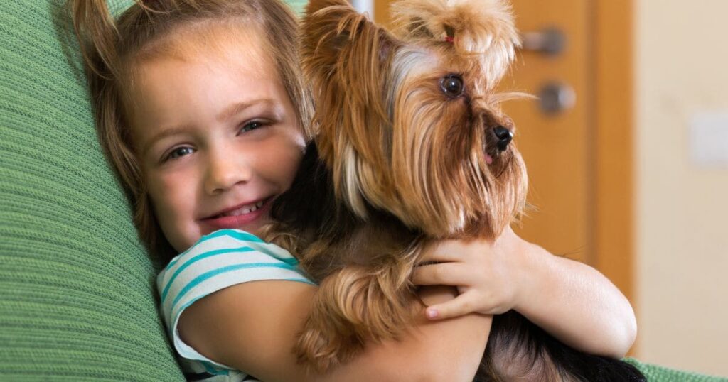 yorkie enjoying attention from child